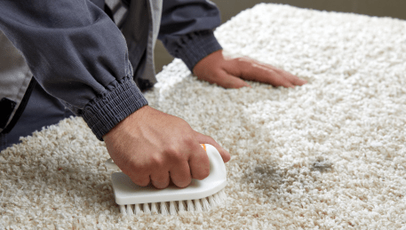 Professional Rug Cleaning Braeside